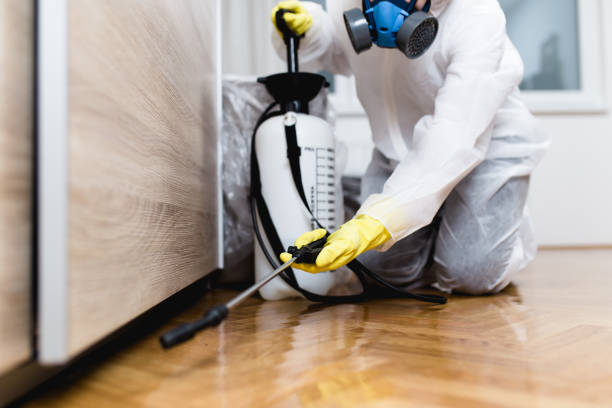 Best Commercial Pest Control Services  in Clay, CA