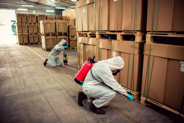 Wasp Removal Services in Clay, CA