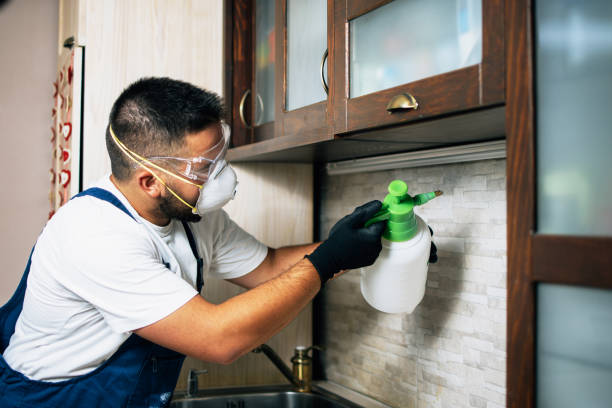 Best Mosquito Control Services  in Clay, CA