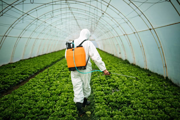 Best Mosquito Control Services  in Clay, CA