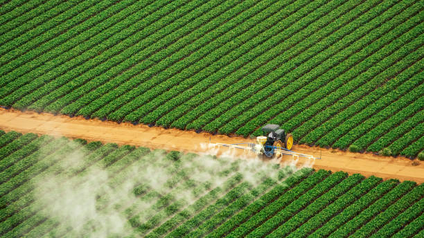 Best Ant Control Services  in Clay, CA