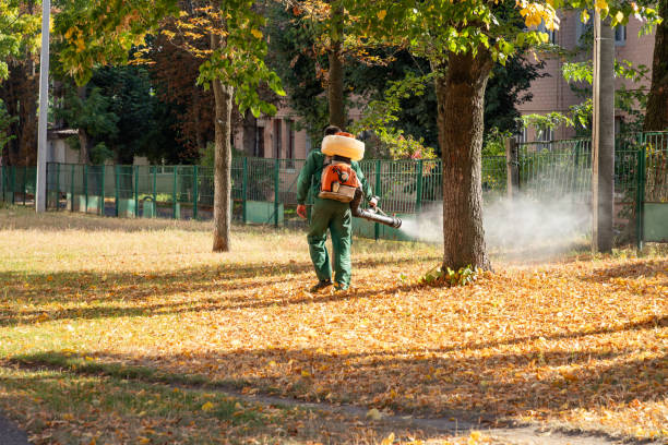 Best Residential Pest Control  in Clay, CA