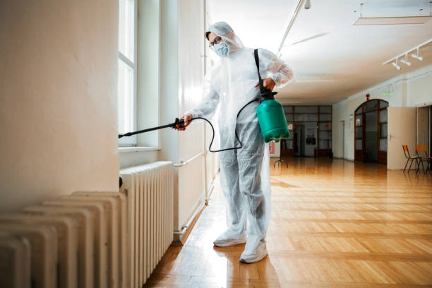 Best Cockroach Control Services  in Clay, CA
